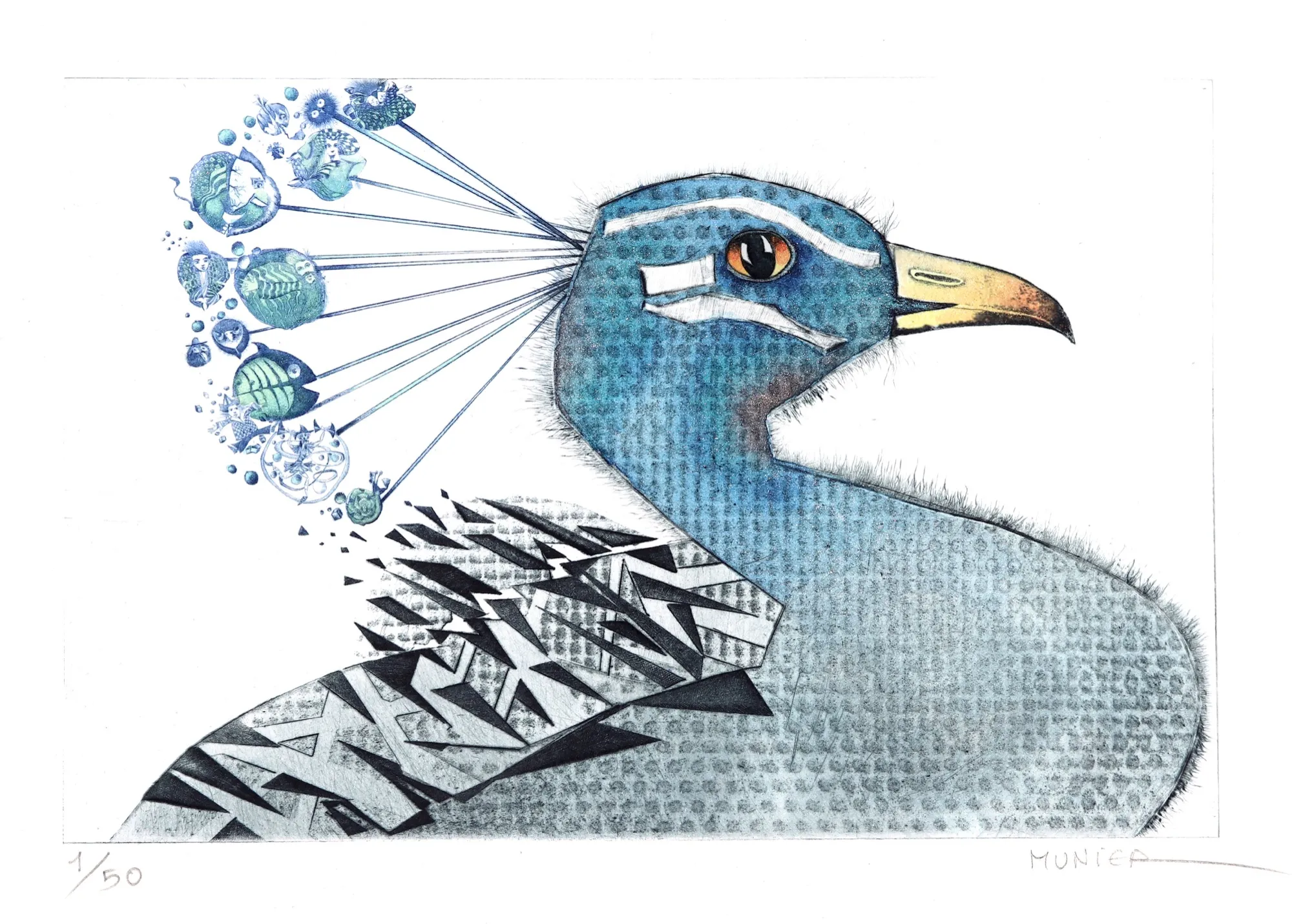 Paon profil, gravure de Jean-Marie Munier